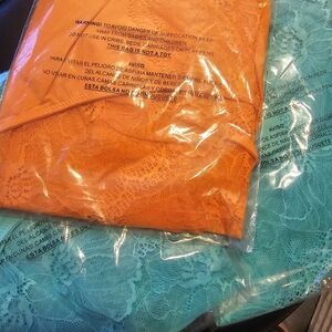 3 Ashley Stewart Orange and Teal Lace Panties New Size 34/36